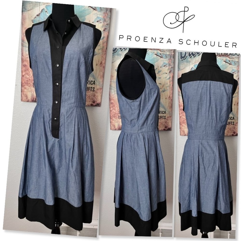Proenza Schouler Blue and Black Sleeveless Button-Front Fit-and-Flare Dress